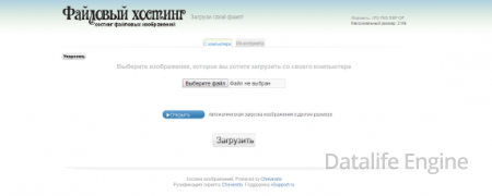 Скрипт хостинга файлов бесплатно