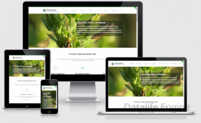 Адаптивный Бизнес шаблон Enterprise для DLE 11.2