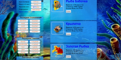 Fish Money продается скрипт