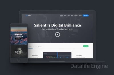 Salient — креативная премиум тема для WordPress