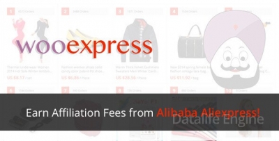 Woo Aliexpress v1.2 - Woocommerce Affiliates Plugin