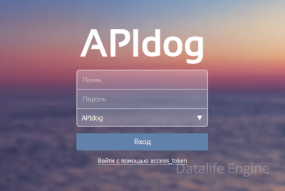 Apidog-вход по токину в вк