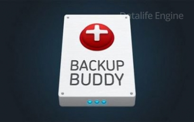 ПЛАГИН БЕКАПА - BackupBuddy v8.0.11.1 для WORDPRESS